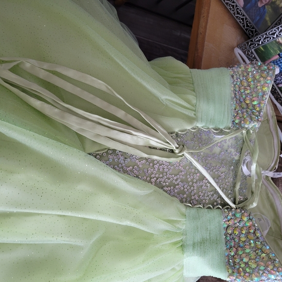 Graduation/Prom/Formal Gown - Picture 5 of 11